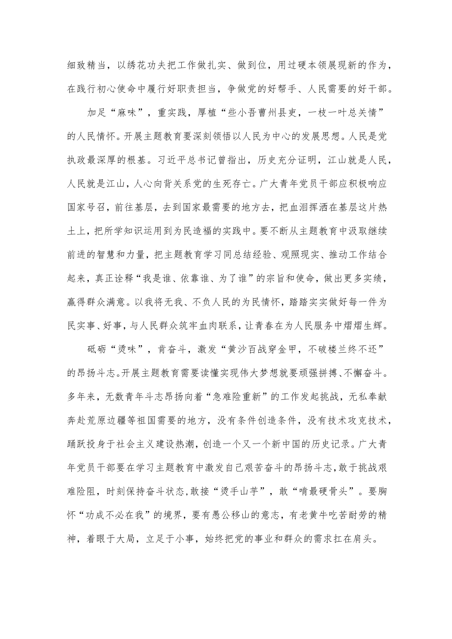 青年干部学习主题教育工作会议上重要讲话心得体会.docx_第2页