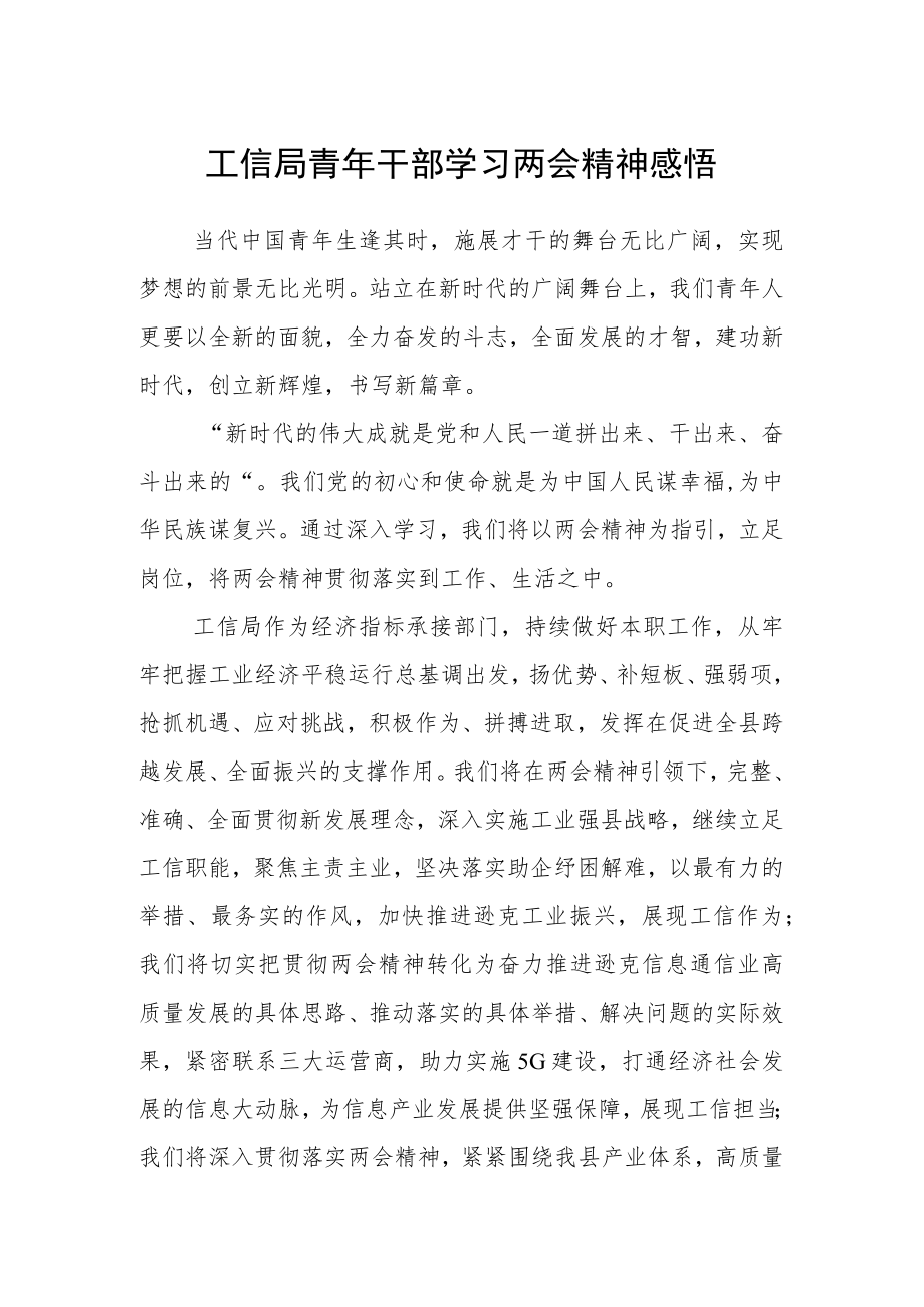 工信局青年干部学习两会精神感悟.docx_第1页