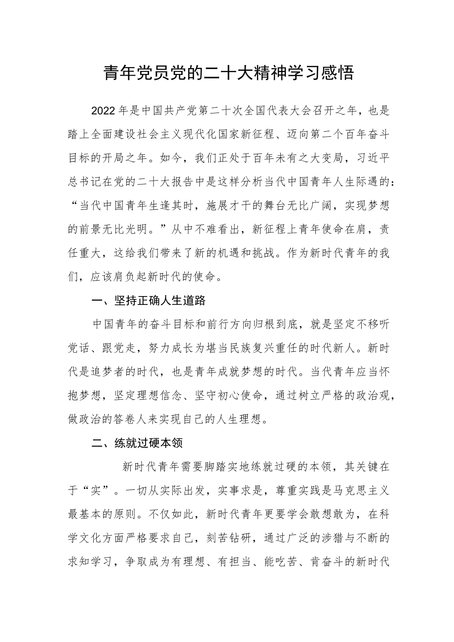 青年党员党的二十大精神学习感悟.docx_第1页