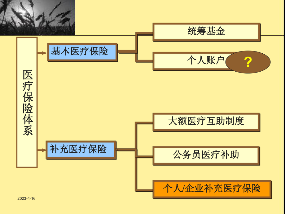 社会医疗保险VS商业健康保险.ppt_第3页