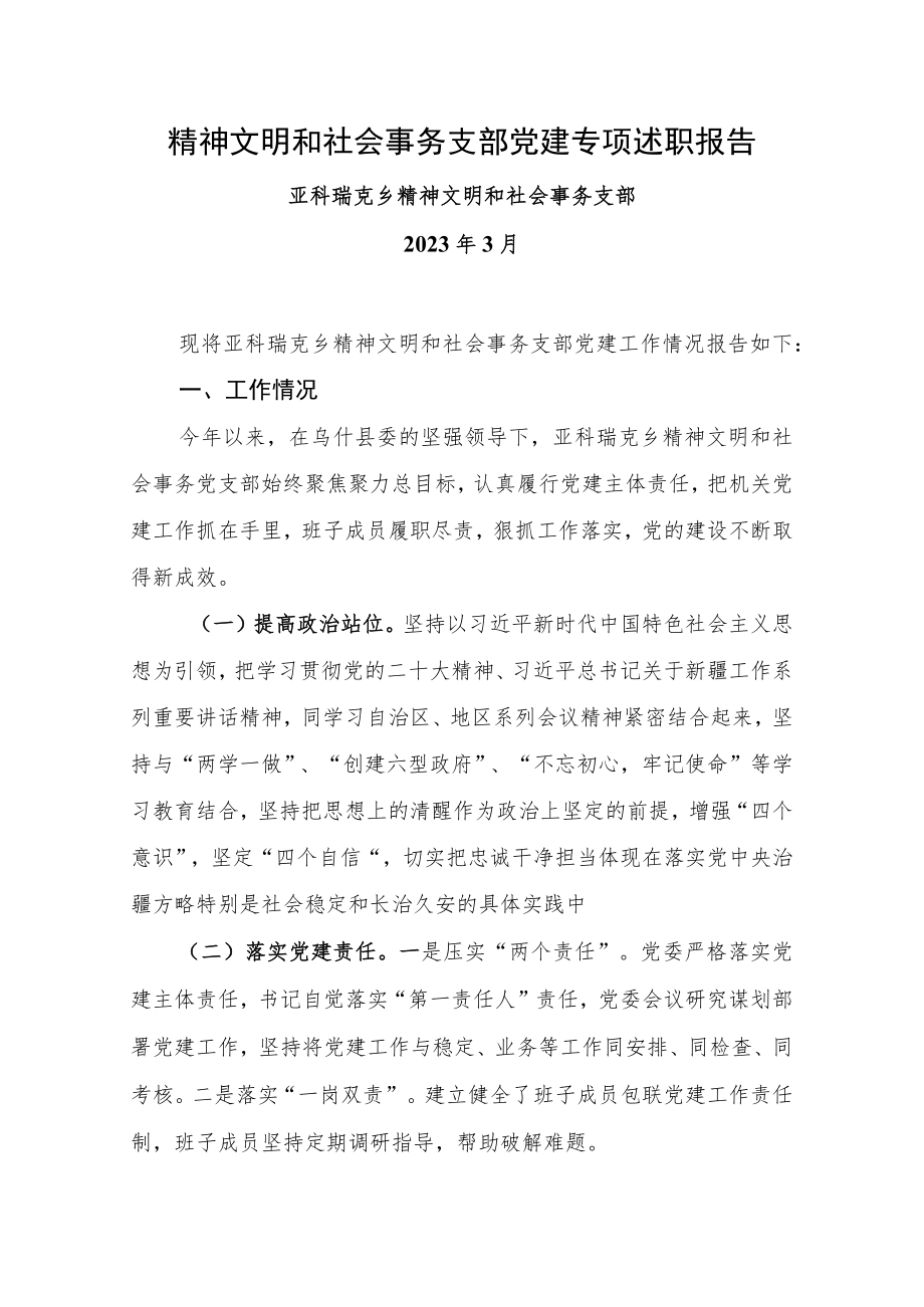 社会性事务与精神文明党建专项述职报告.docx_第1页