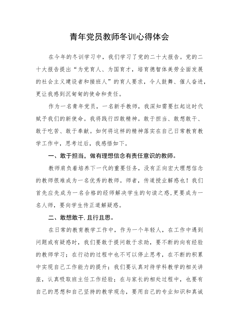 青年党员教师冬训心得体会.docx_第1页