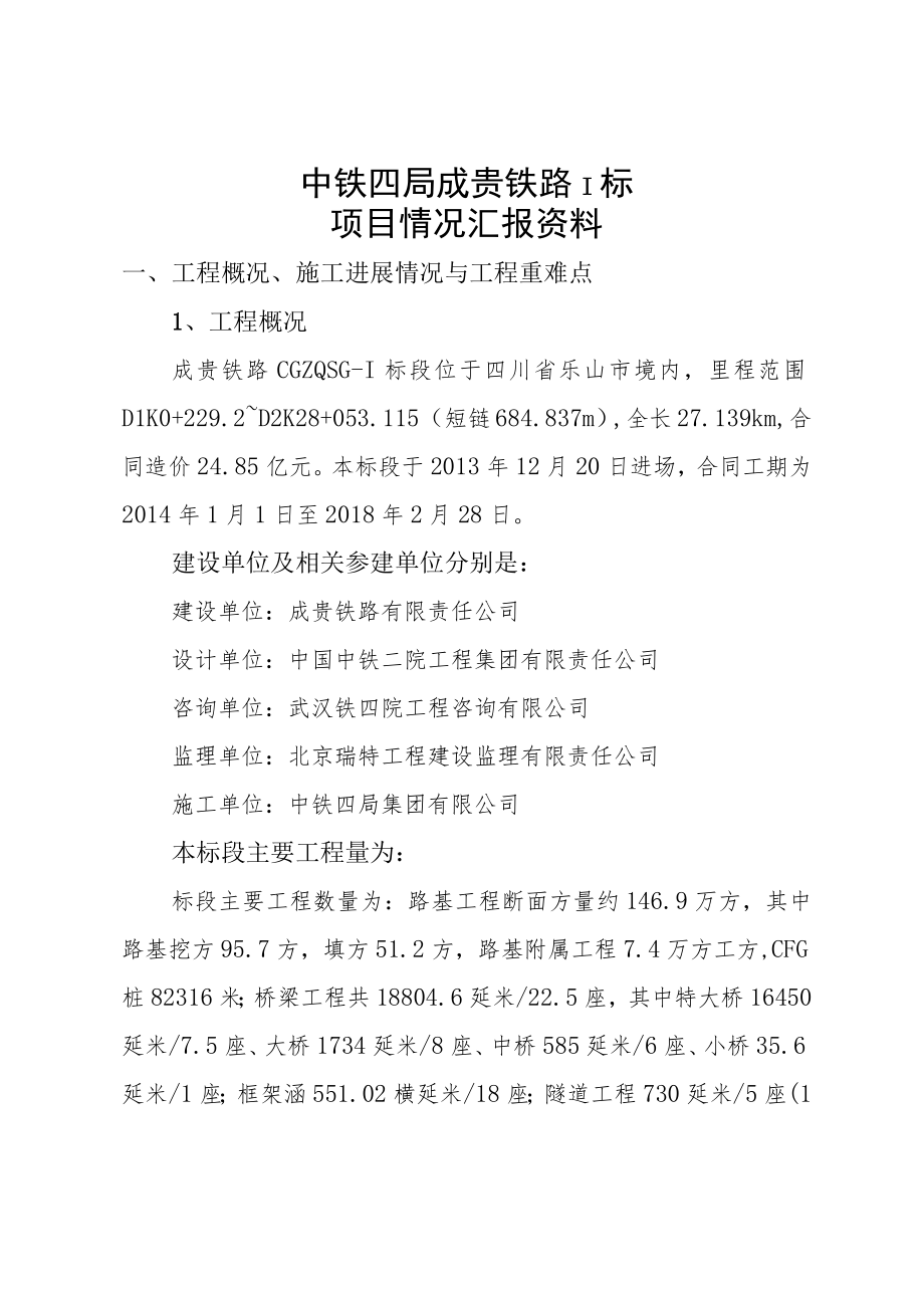 2. 项目情况汇报材料.docx_第1页