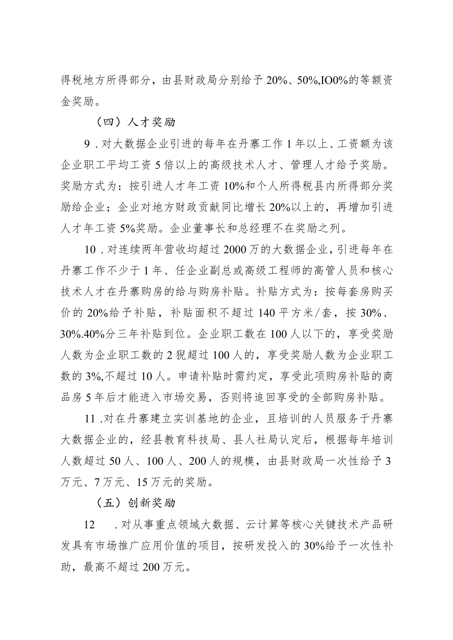 XXX县促进大数据产业发展扶持政策（试行）.docx_第3页