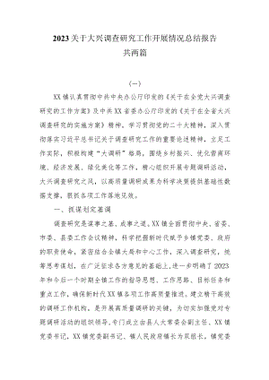 2023关于大兴调查研究工作开展情况总结报告两篇.docx
