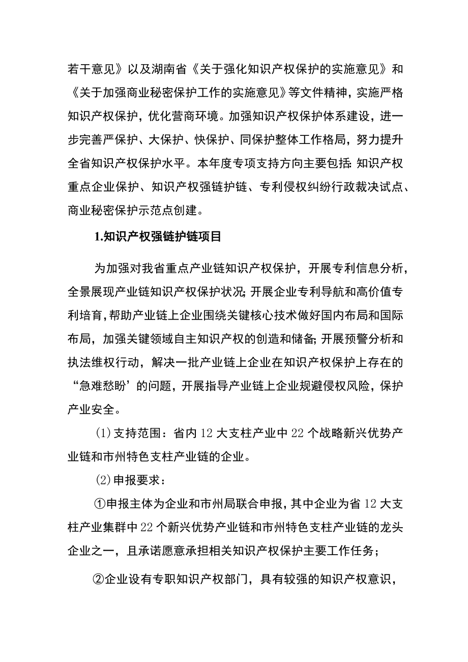 2023年湖南省知识产权战略推进专项项目申报指南.docx_第2页