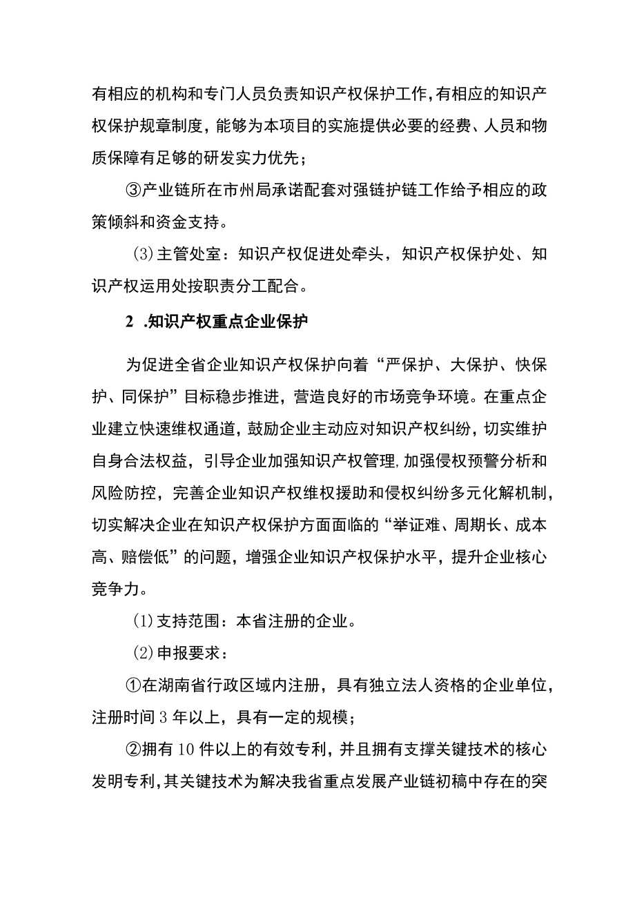2023年湖南省知识产权战略推进专项项目申报指南.docx_第3页