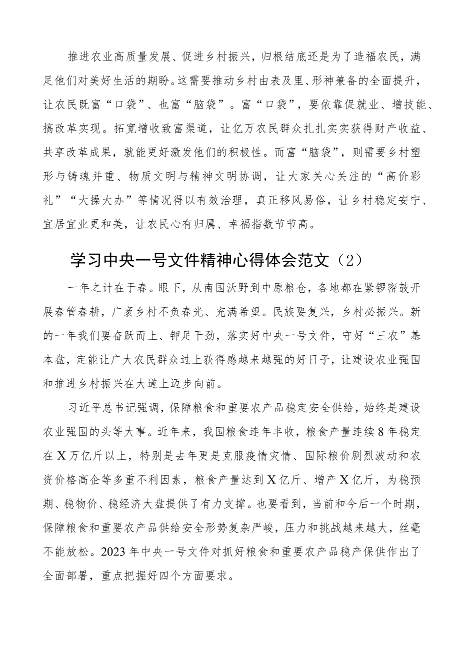 2023年一号文件精神心得体会研讨发言材料4篇.docx_第2页