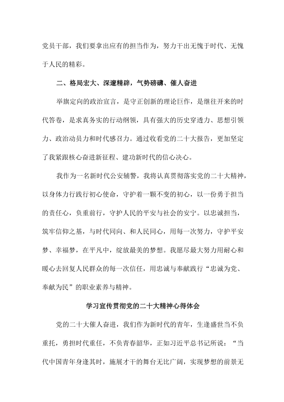 乡镇派出所青年辅警学习宣传贯彻党的二十大精神个人心得体会.docx_第3页