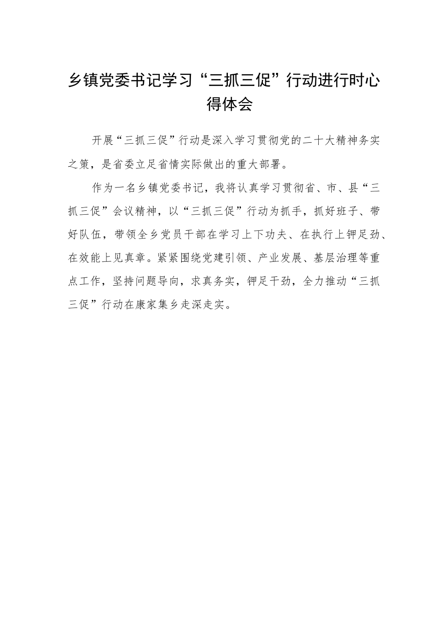 乡镇党委书记学习“三抓三促”行动进行时心得体会.docx_第1页