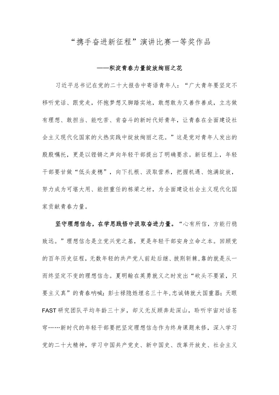 “携手奋进新征程”演讲比赛一等奖作品.docx_第1页