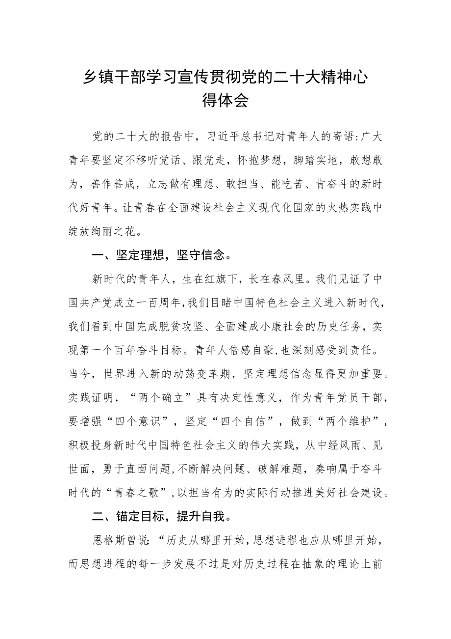 乡镇干部学习宣传贯彻党的二十大精神心得体会.docx_第1页