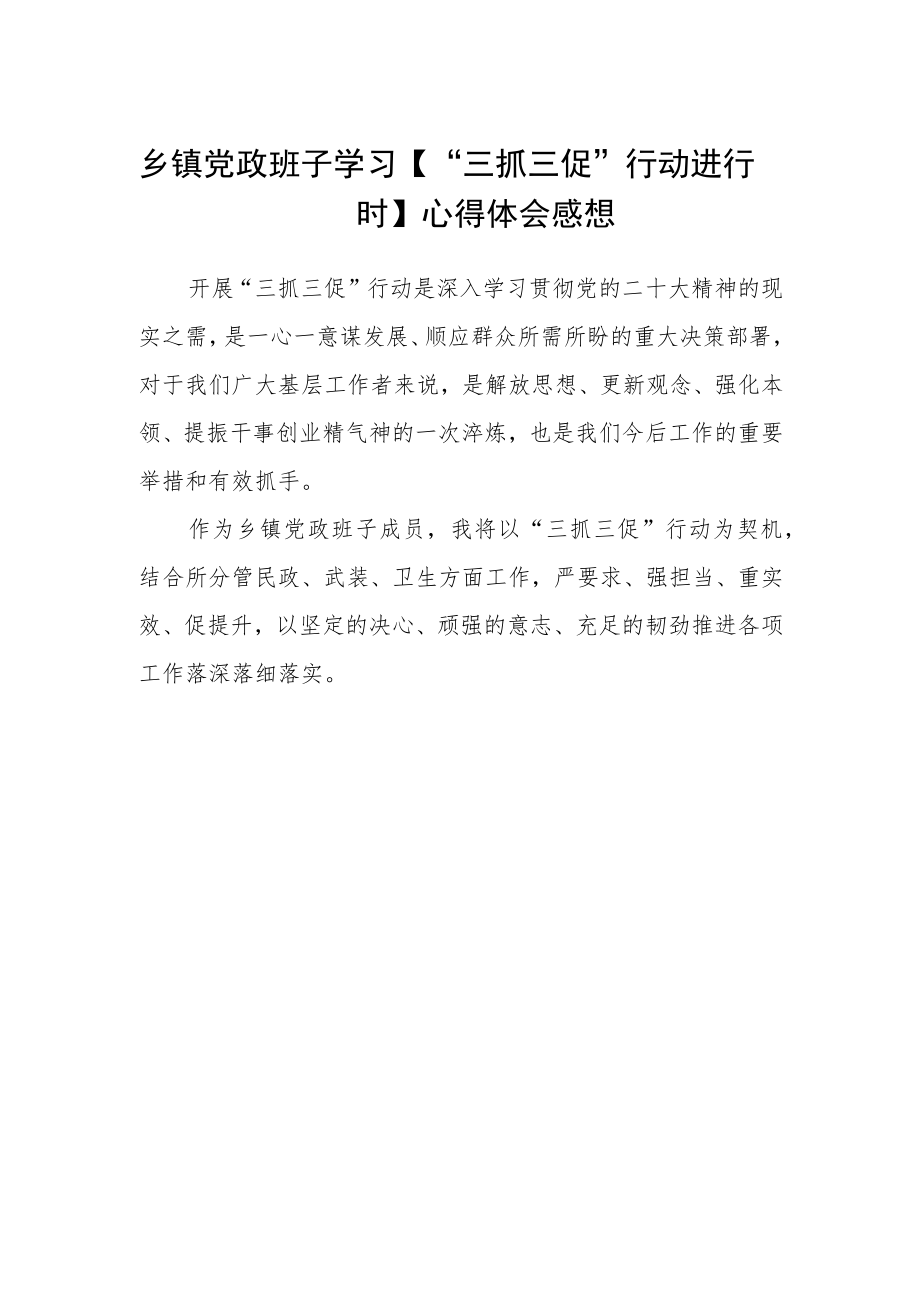 乡镇党政班子学习【“三抓三促”行动进行时】心得体会感想.docx_第1页