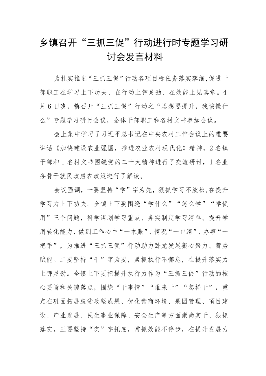 乡镇召开“三抓三促”行动进行时专题学习研讨会发言材料.docx_第1页