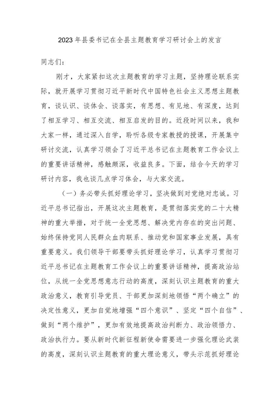 2023年县委书记在全县主题教育学习研讨会上的发言讲话.docx_第1页