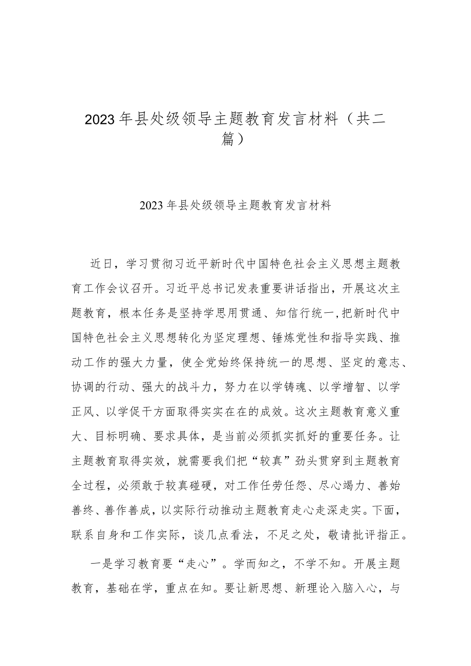 2023年县处级领导主题教育发言材料(共二篇).docx_第1页