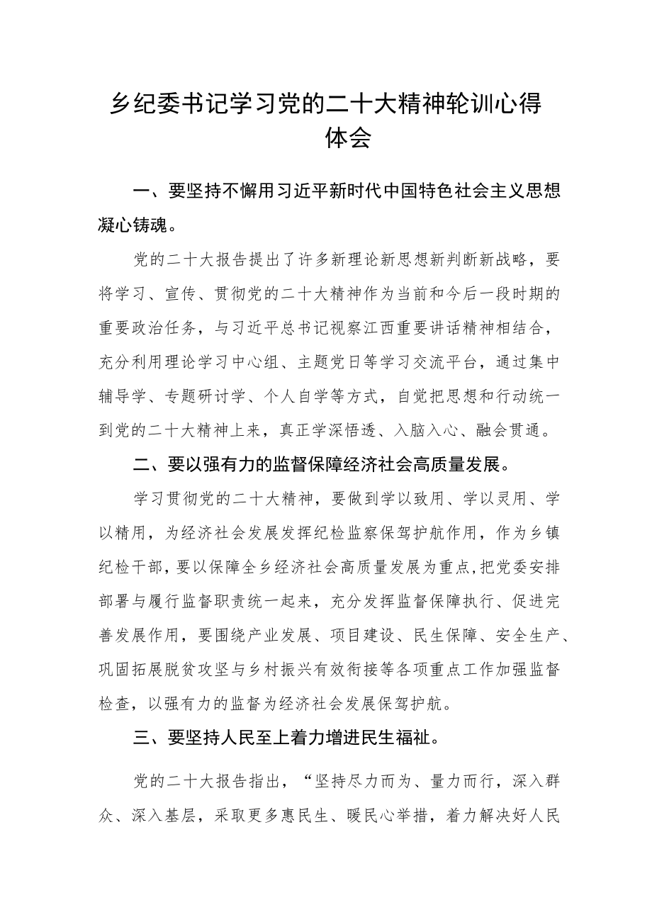 乡纪委书记学习党的二十大精神轮训心得体会.docx_第1页