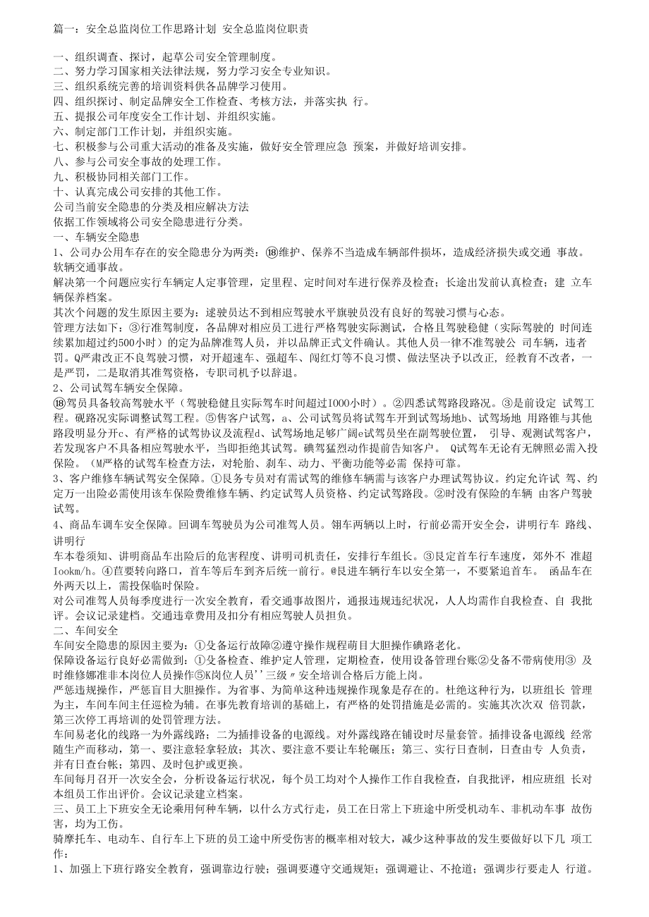 【述职】安全总监工作思路计划（10页）.docx_第1页