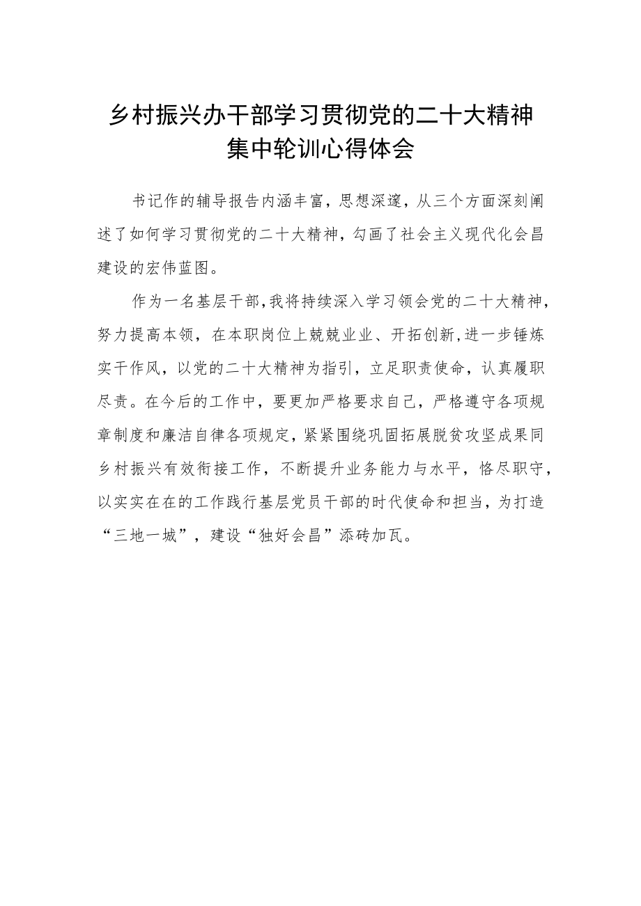 乡村振兴办干部学习贯彻党的二十大精神集中轮训心得体会.docx_第1页