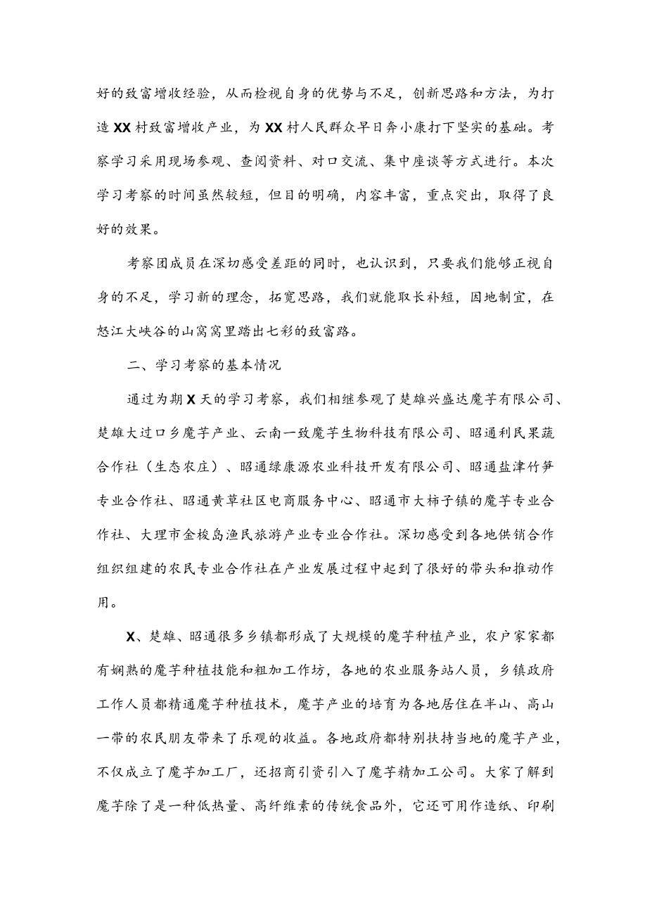 公文写作之报告30XX村外出考察学习调研报告.docx_第2页