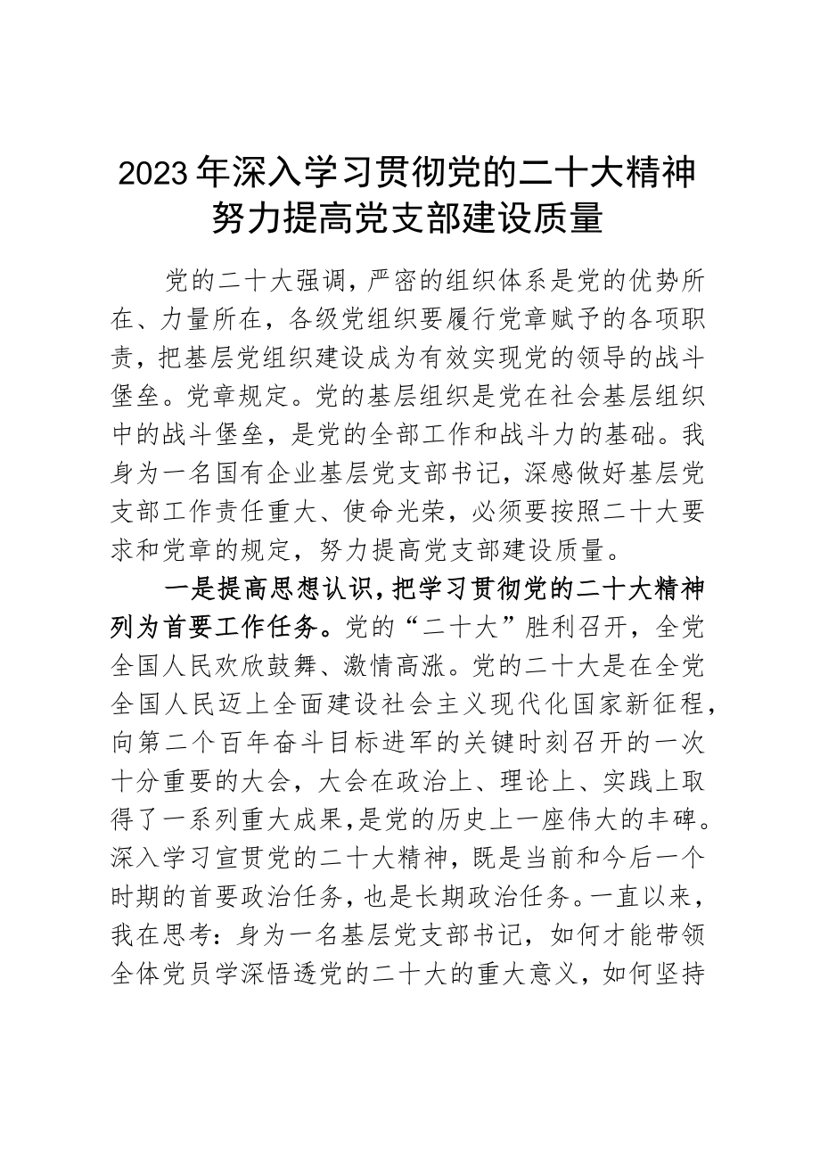 2023年党支部党课讲稿：深入学习贯彻党的二十大精神 努力提高党支部建设质量.docx_第1页