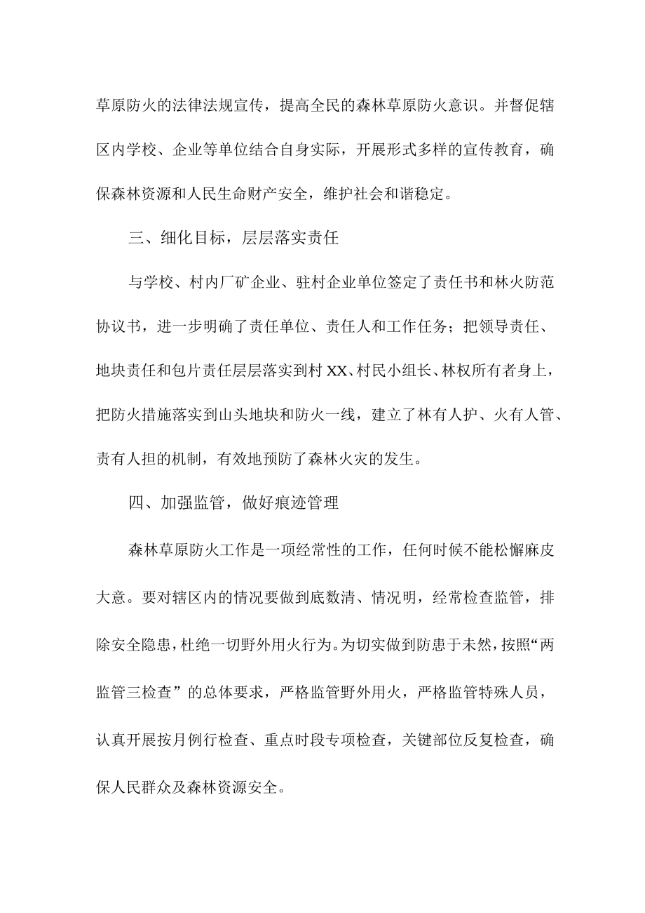 乡镇森林草原防火工作总结合计4份.docx_第2页