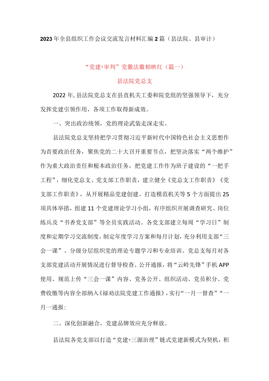 2023年全县组织工作会议交流发言材料汇编2篇(县法院、县审计).docx_第1页