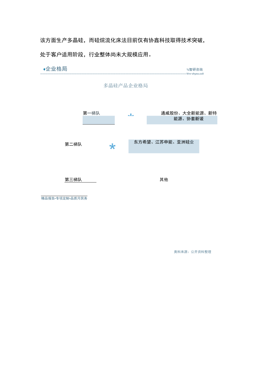 中国多晶硅企业竞争格局及行业发展研究报告.docx_第2页