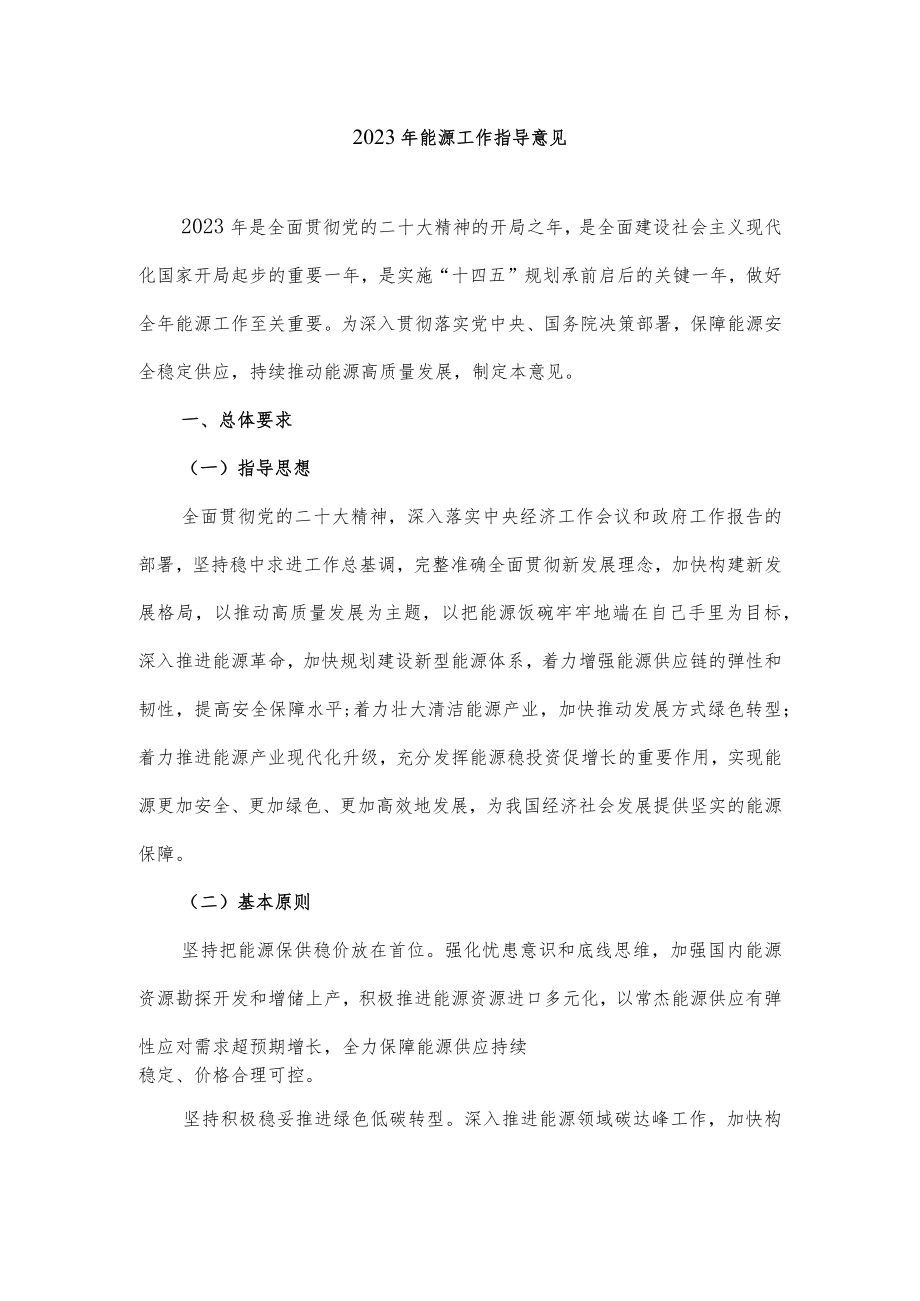 2023年能源工作指导意见.docx_第1页