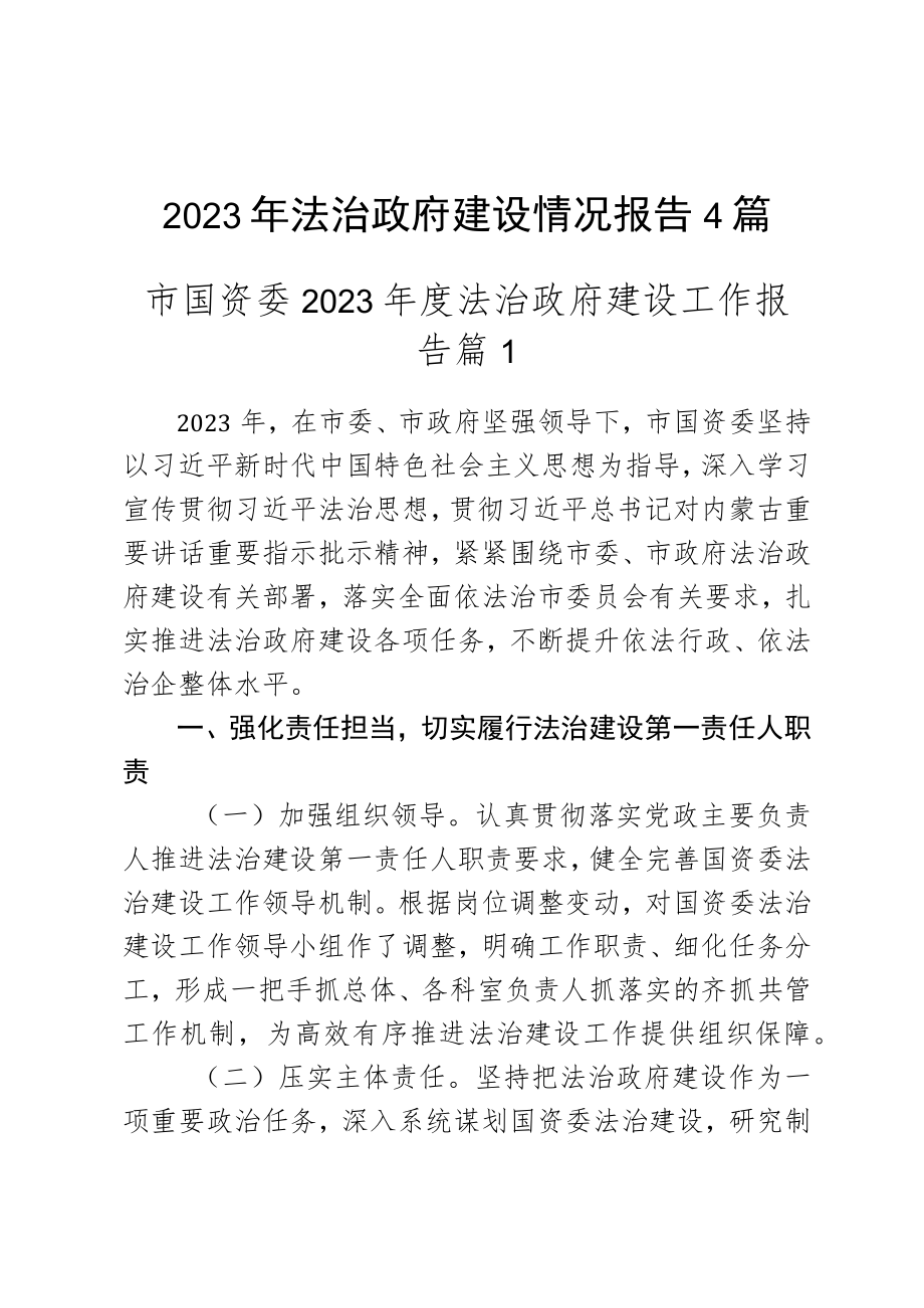 2023年法治政府建设情况报告4篇.docx_第1页