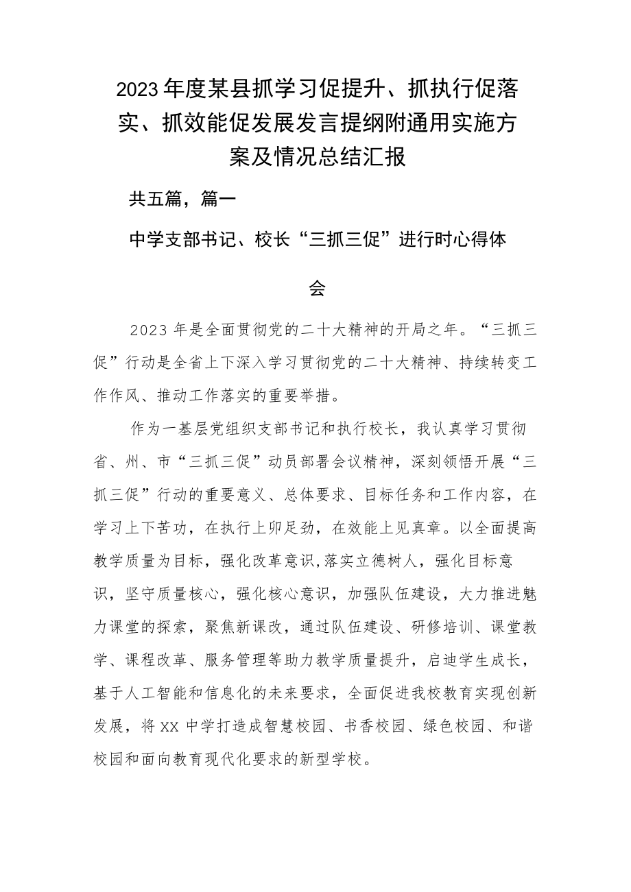 2023年度某县抓学习促提升、抓执行促落实、抓效能促发展发言提纲附通用实施方案及情况总结汇报.docx_第1页