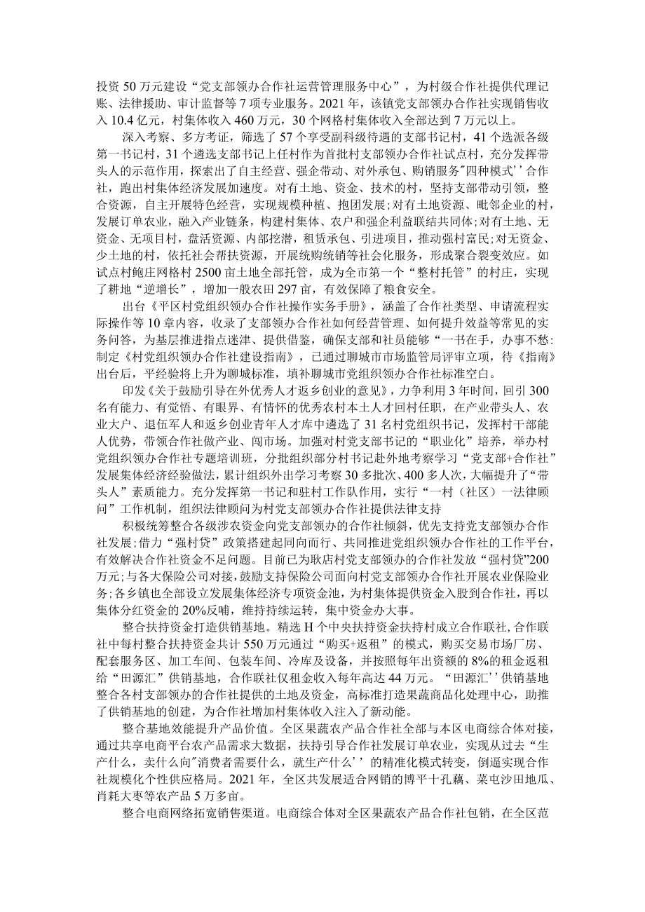 党支部领办合作社是乡村振兴关键举措 附例证资料.docx_第3页