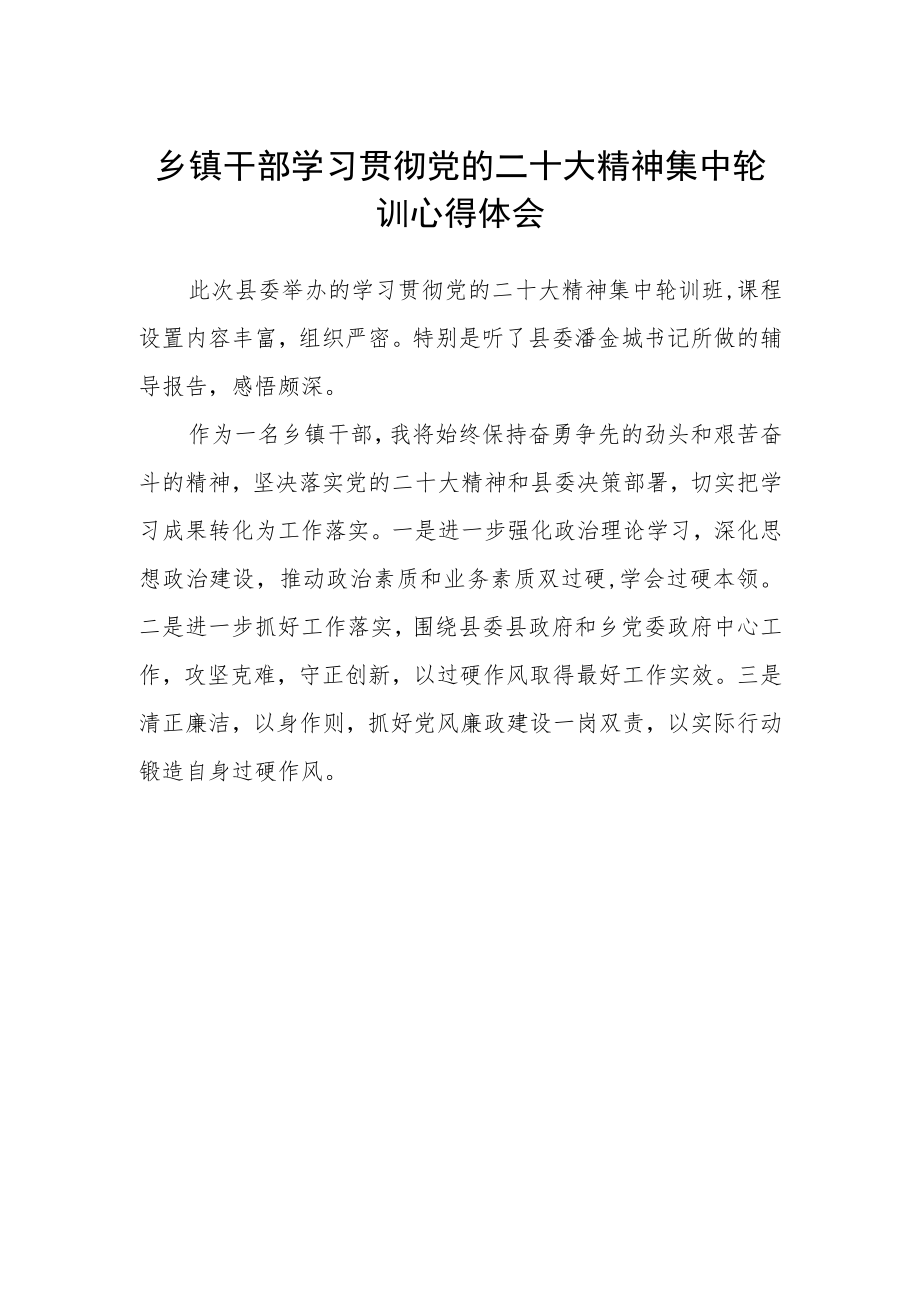 乡镇干部学习贯彻党的二十大精神集中轮训心得体会.docx_第1页