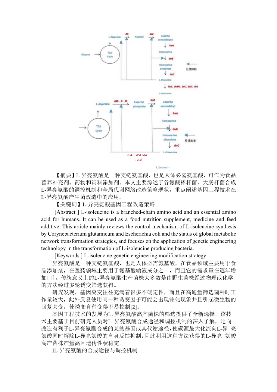 代谢工程改造谷氨酸棒杆菌生产甲硫氨酸 附异亮氨酸生产菌的全局代谢网络改造策略.docx_第3页