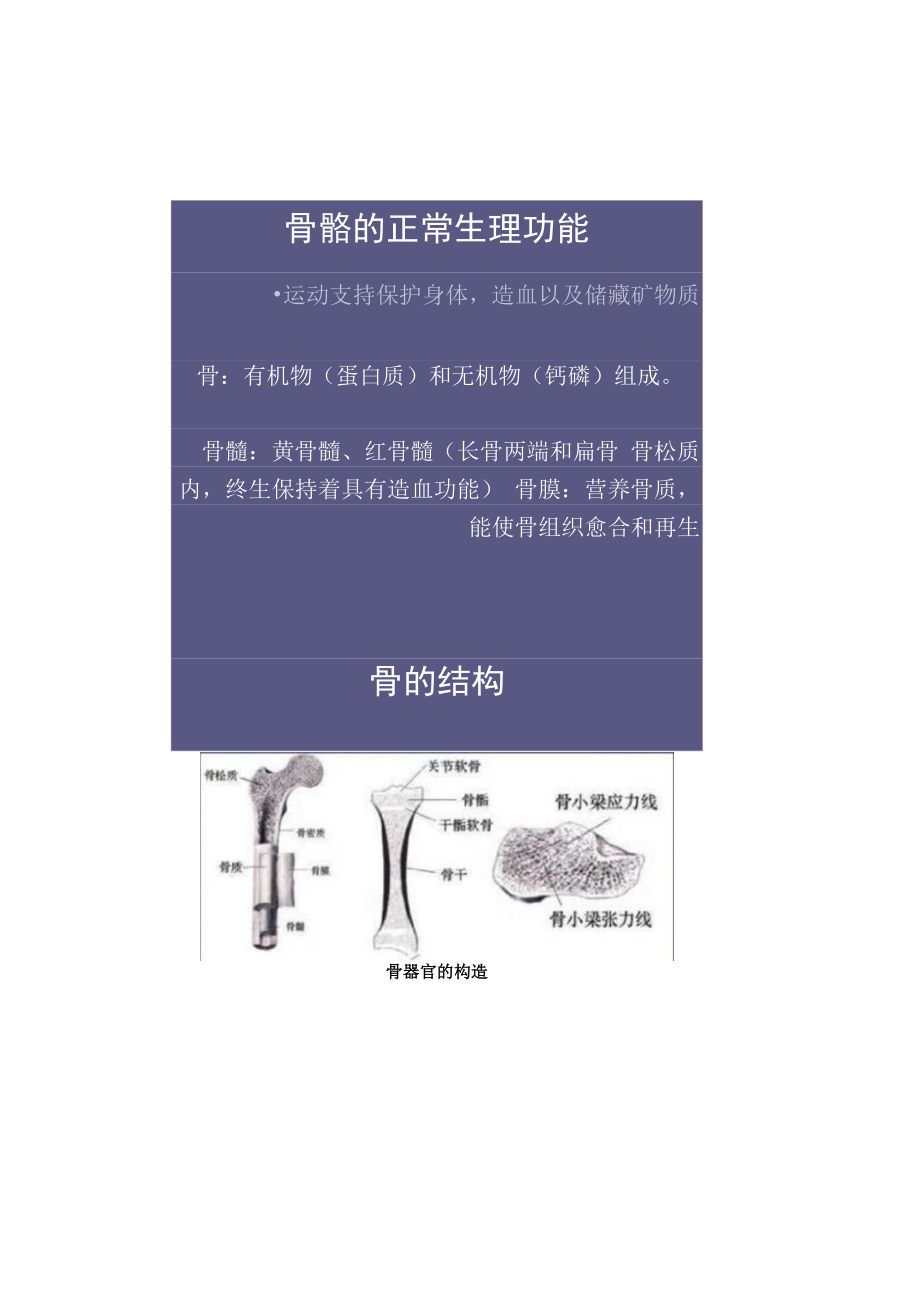 东南大肿瘤护理学课件12骨肿瘤护理.docx_第2页