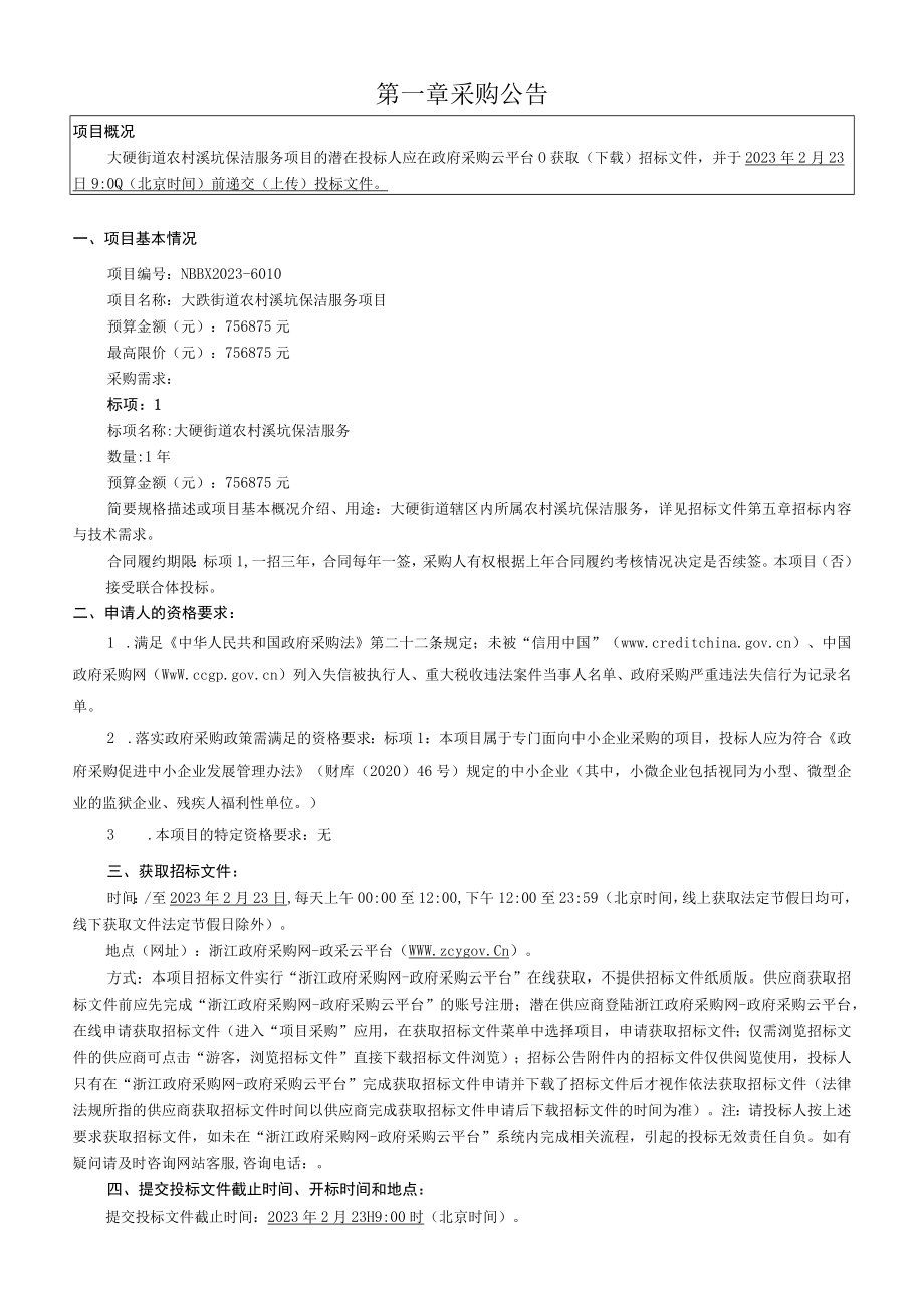 农村溪坑保洁服务项目招标文件.docx_第3页