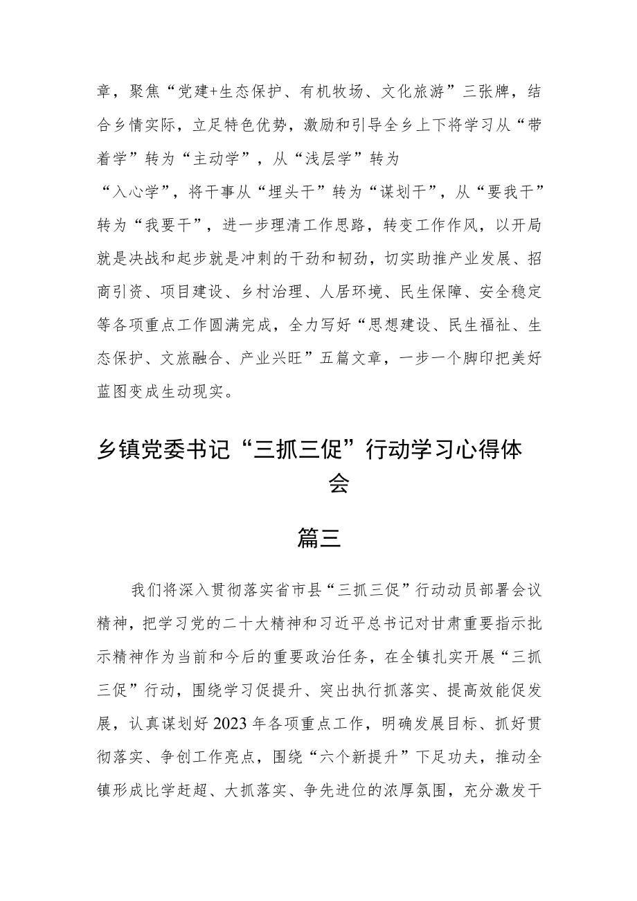 乡镇党委书记“三抓三促”行动学习心得体会四篇.docx_第2页