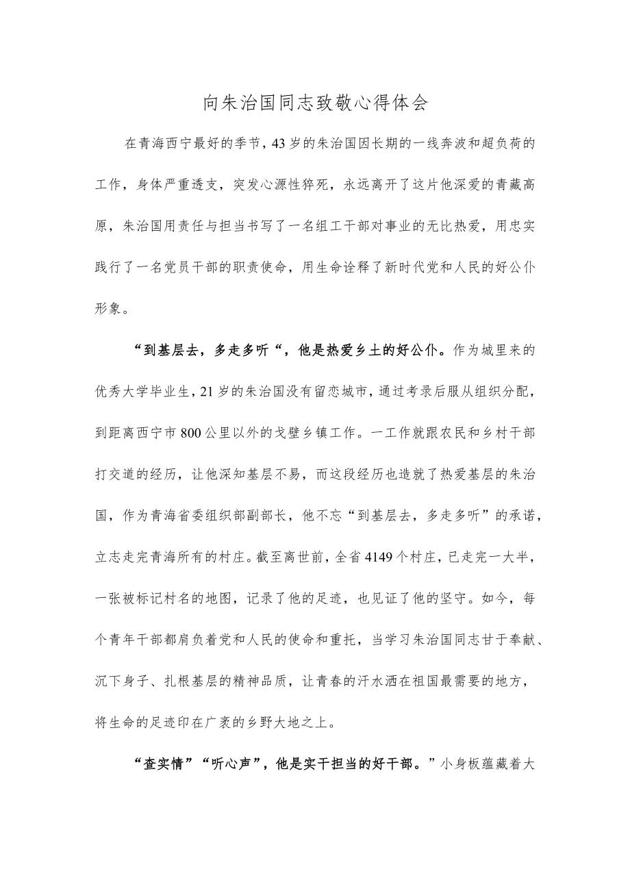 向朱治国同志致敬心得体会.docx_第1页