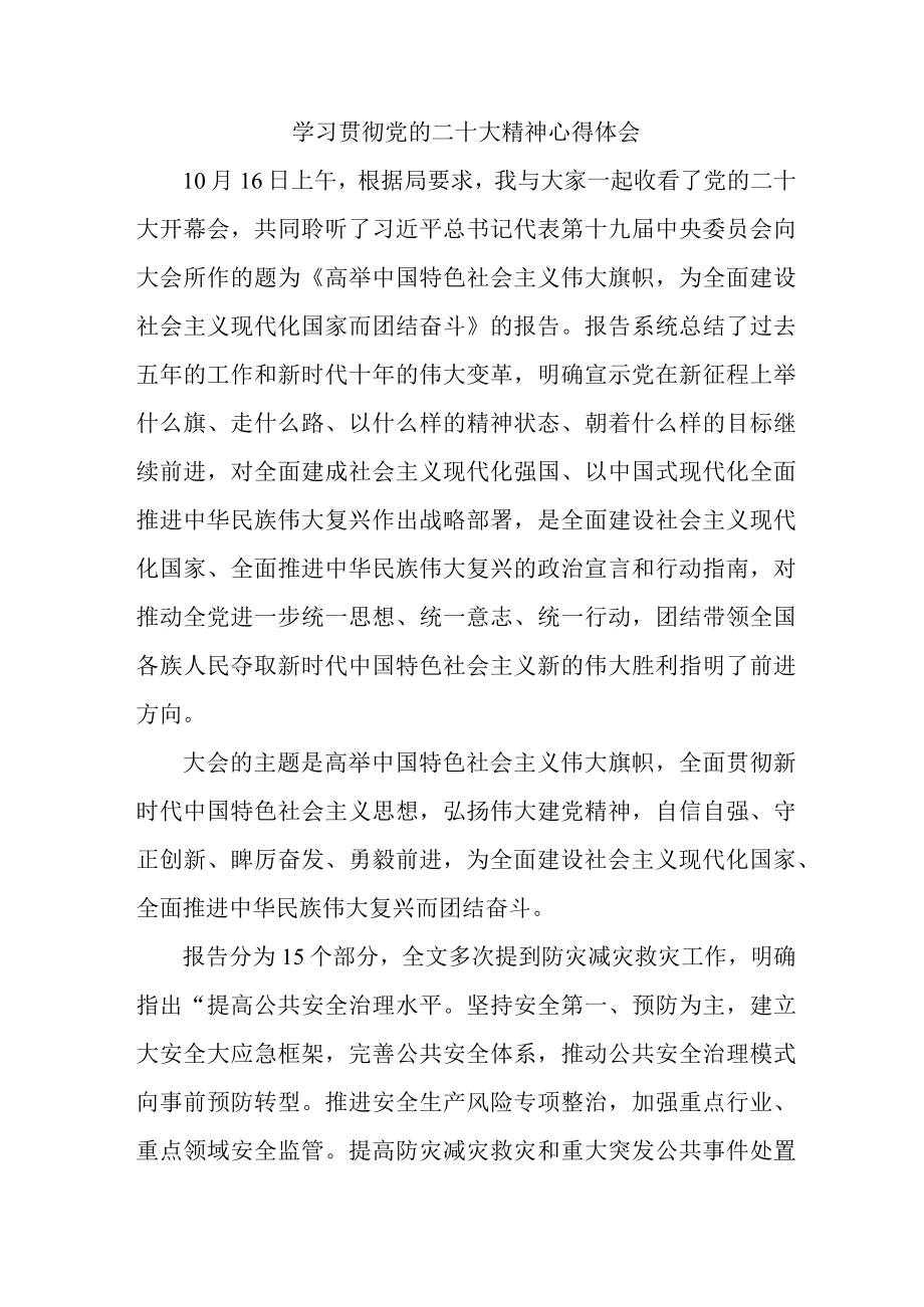 应急管理局执法大队负责人《学习贯彻党的二十大精神》个人心得体会 合计6份.docx_第1页