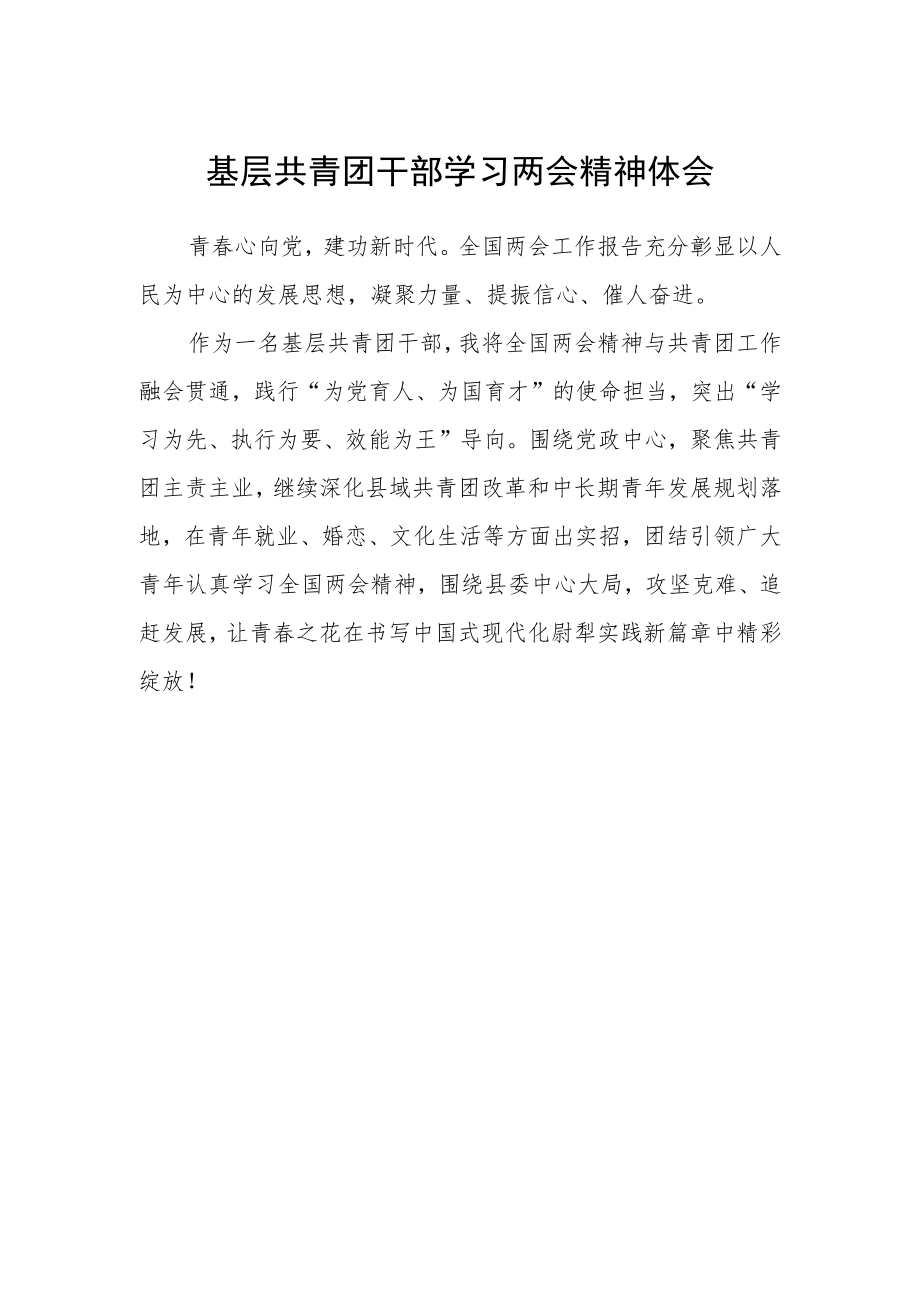 基层共青团干部学习两会精神体会.docx_第1页