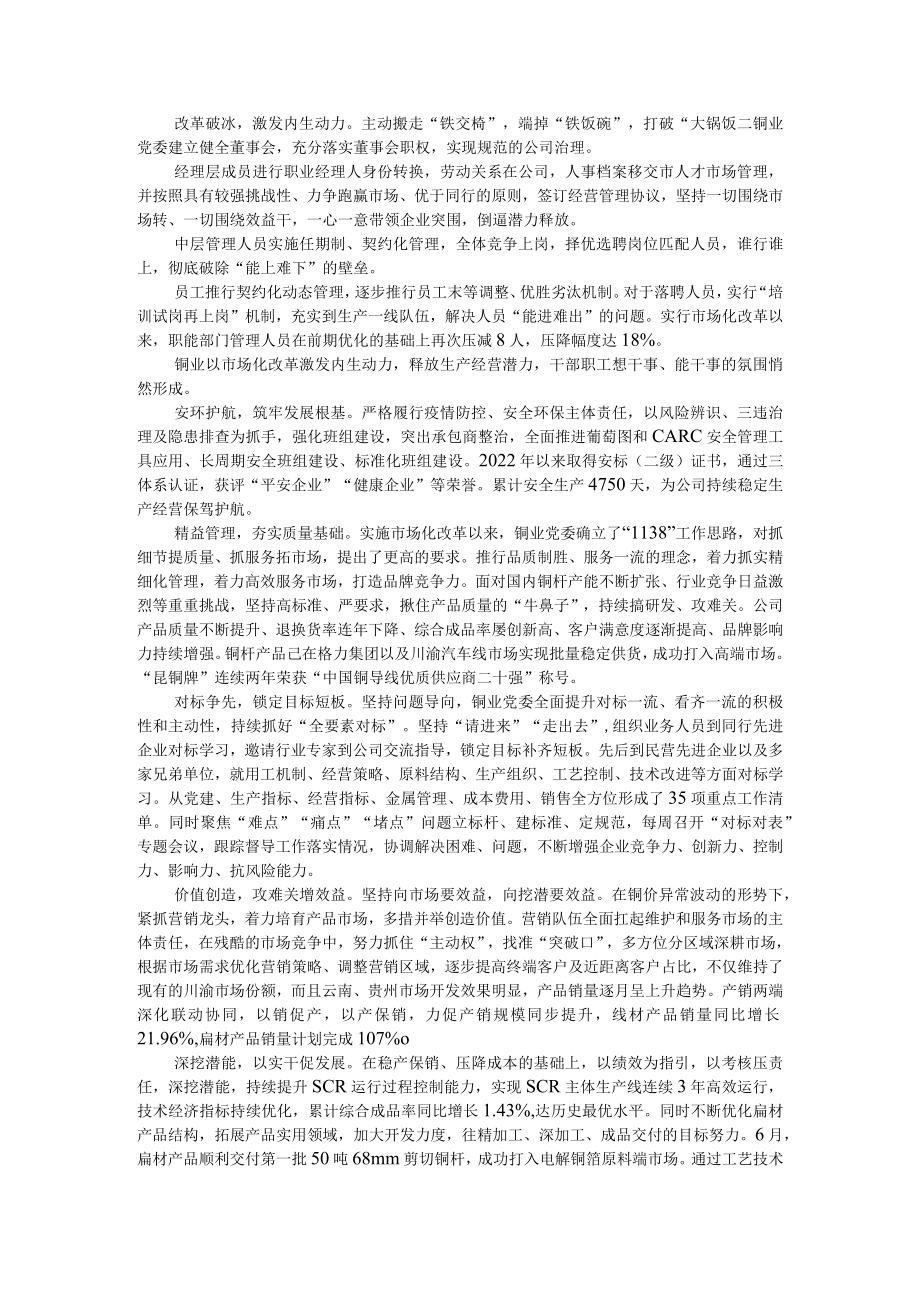 双向融合抓党建 同心聚力创价值 五星一体星级党支部 赋能企业高质量发展.docx_第3页