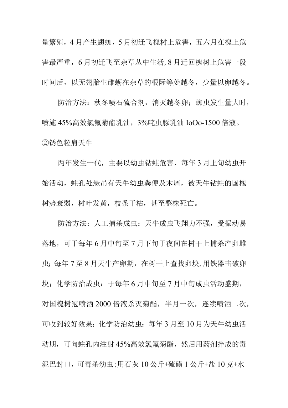 园林绿化养护工程苗木的病虫害防治方案及主要养护措施.docx_第2页