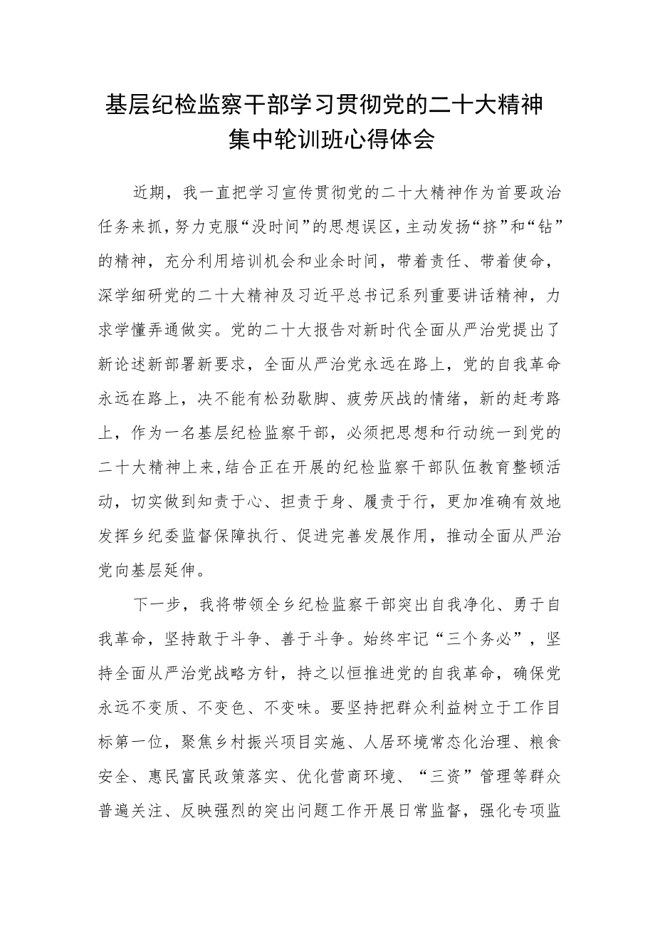 基层纪检监察干部学习贯彻党的二十大精神集中轮训班心得体会.docx_第1页