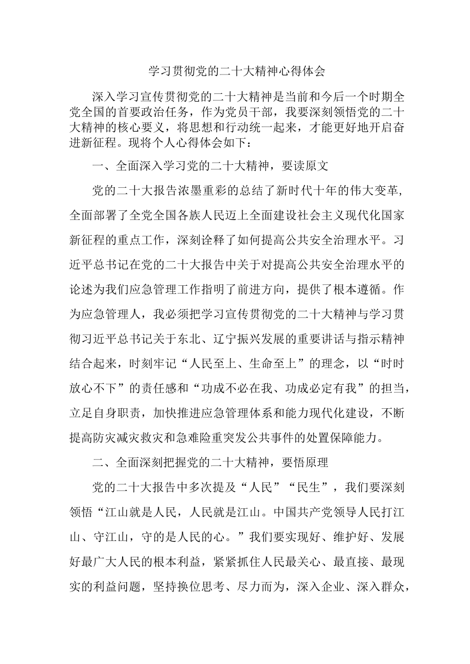 应急管理综合科负责人《学习贯彻党的二十大精神》个人心得体会 （合计4份）.docx_第1页