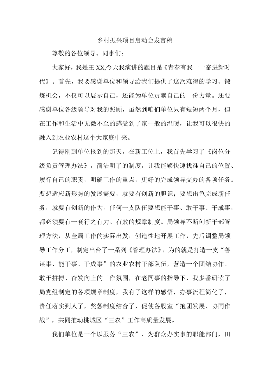 国企单位开展乡村振兴项目启动会发言稿 合计4份.docx_第1页