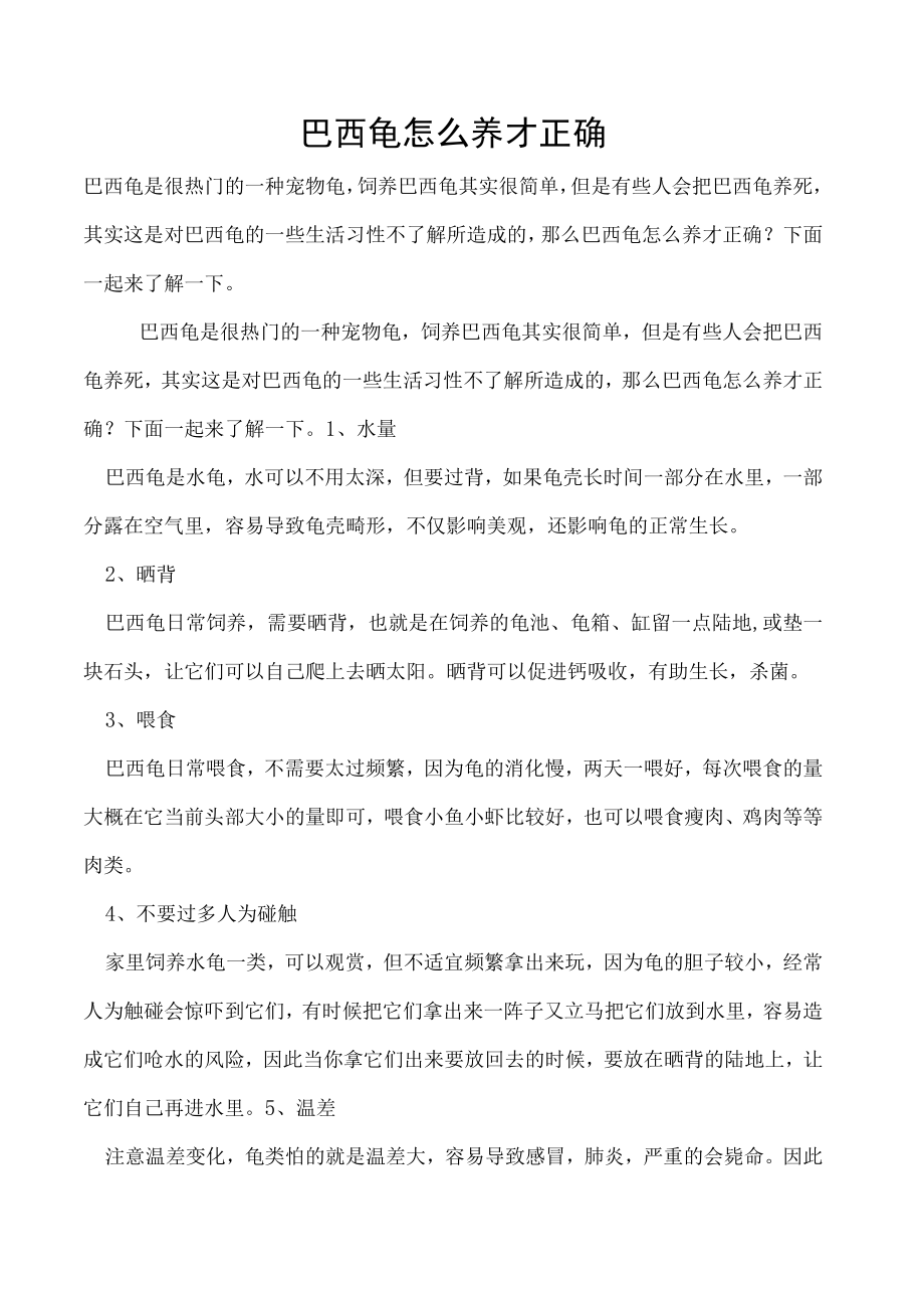 巴西龟怎么养才正确.docx_第1页