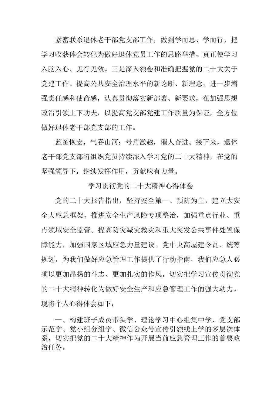 应急管理局执法大队负责人学习贯彻党的二十大精神心得体会.docx_第3页