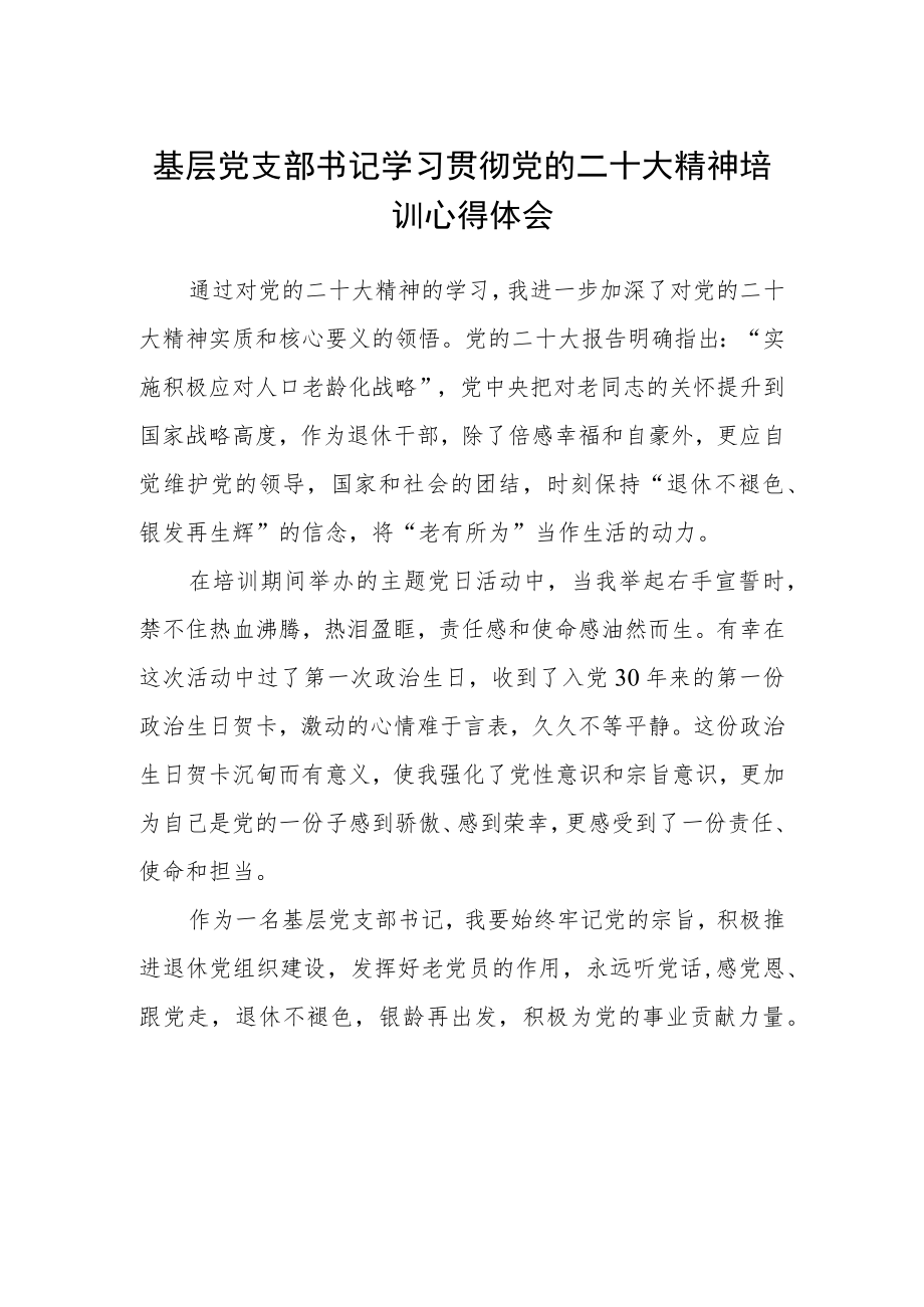 基层党支部书记学习贯彻党的二十大精神培训心得体会.docx_第1页