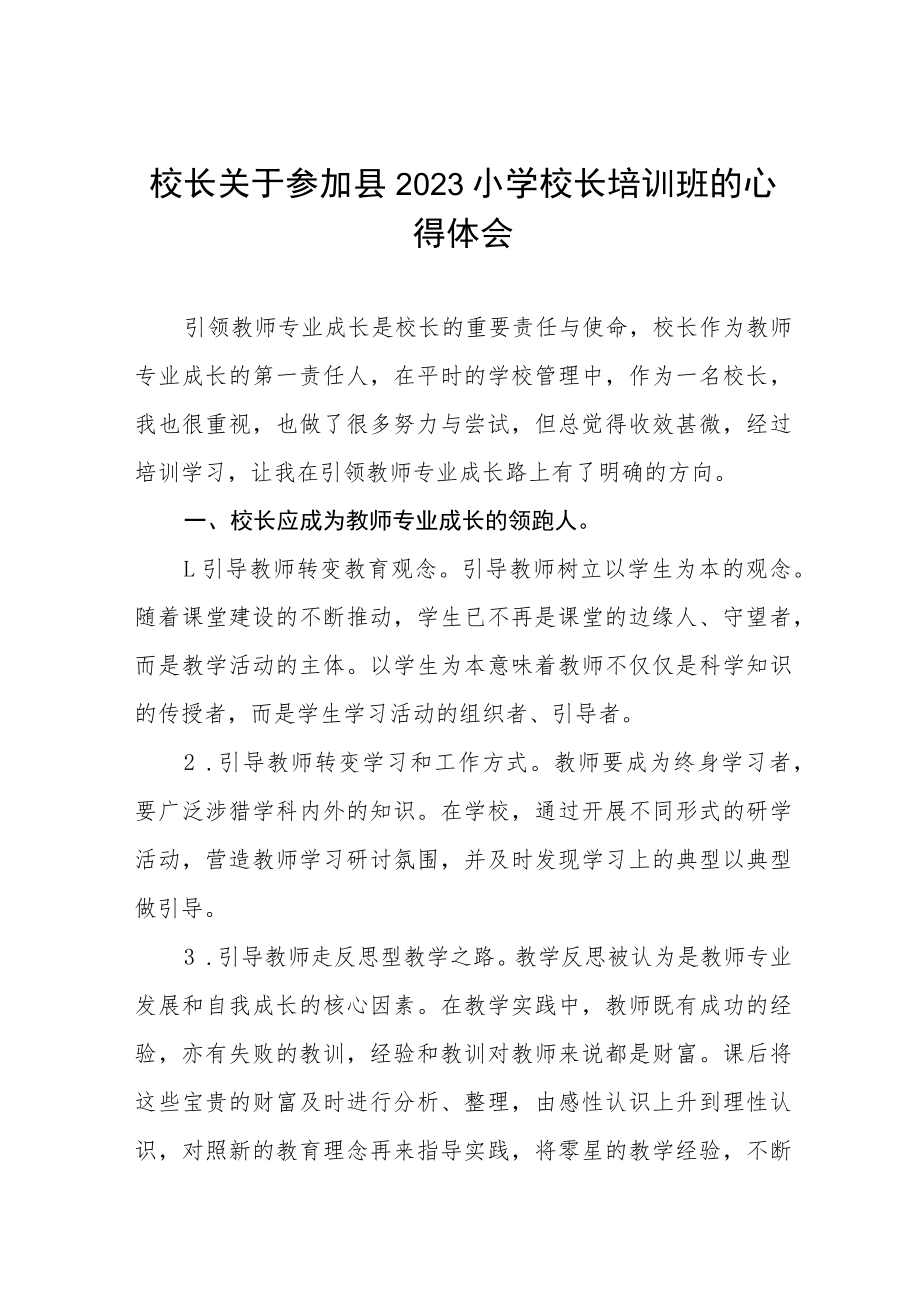 参加2023年小学校长培训心得体会六篇例文.docx_第1页