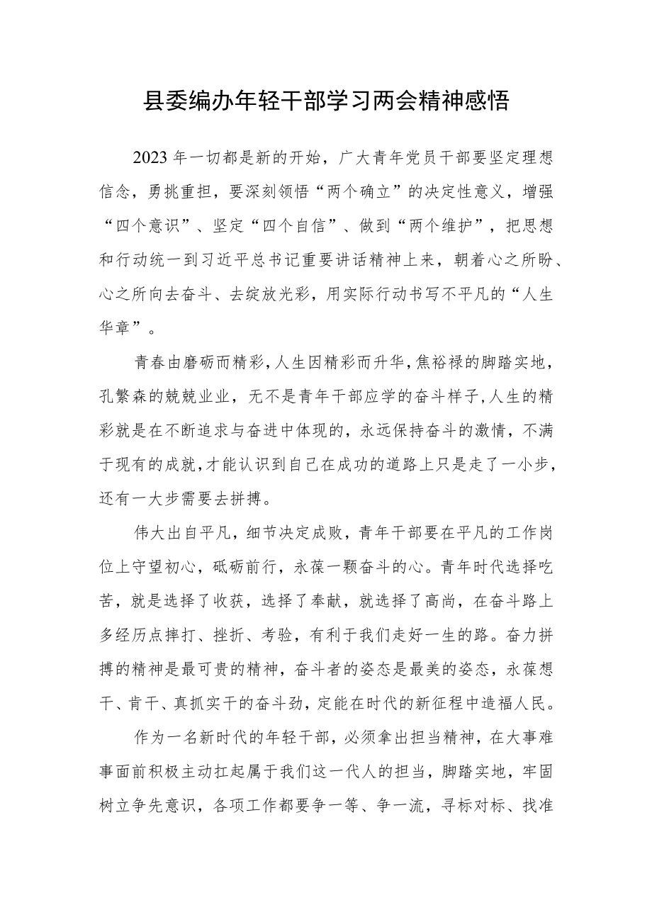 县委编办年轻干部学习两会精神感悟.docx_第1页